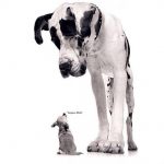 Postkarte, Päckchen