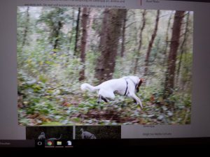 Fotovergrößerung, Neuerungen