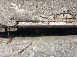 Lieblingsmann am Aussichtspunkt Loodsmansduin