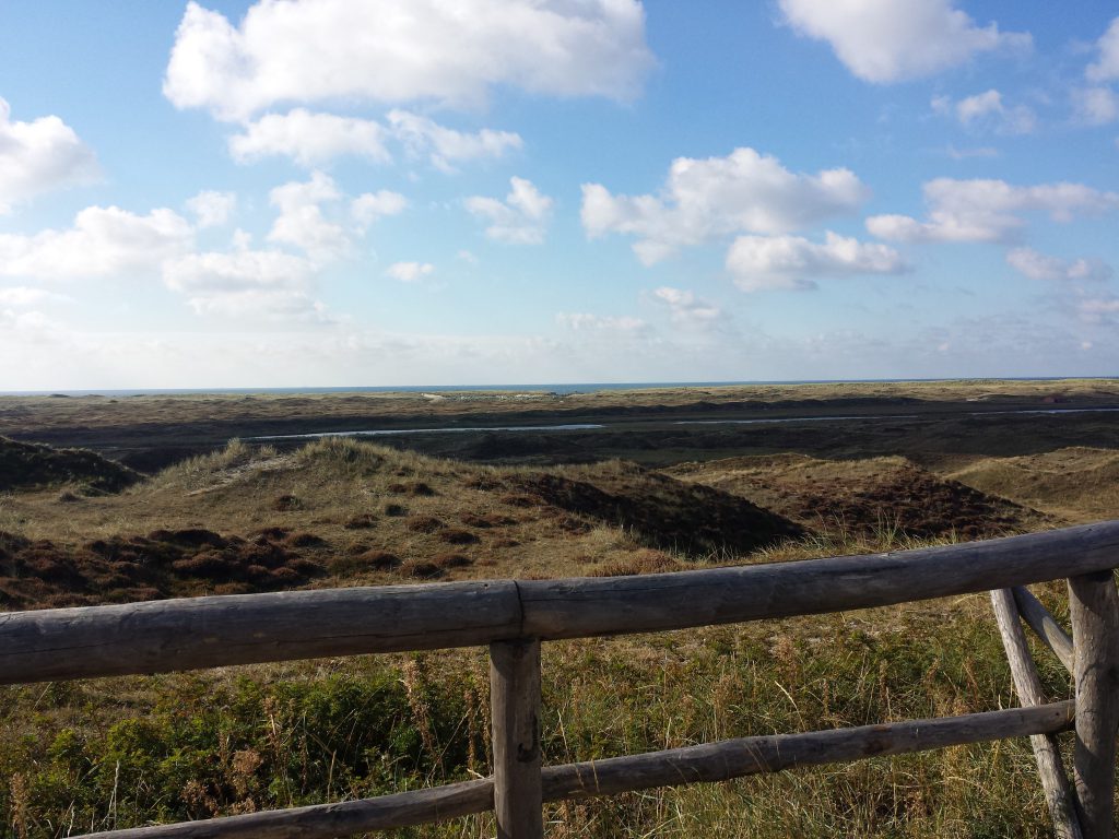 Meeressicht am Aussichtspunkt Loodsmansduin