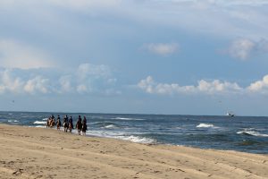 Reiterinnen am Strand, Meereshunde