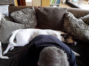 Feli sucht Körperkontakt, Renovierung