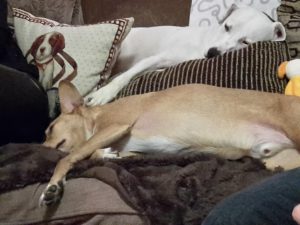 Zina und Hundefreund Riko, Familie