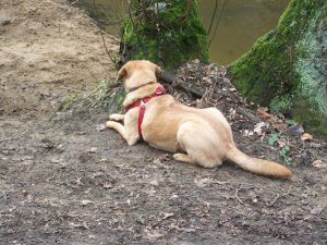 Liegende Elli, Traum