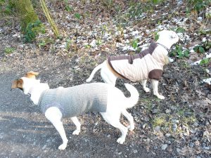 Zina & Feli in Winterkleidung, Sonntag am Tetraeder