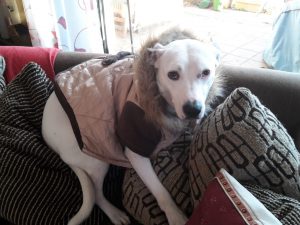 Zina mit Mantel,Sonntag am Tetraeder