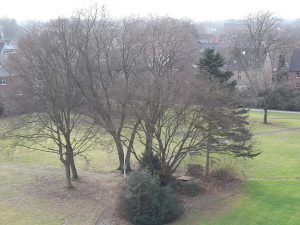 Garten, Marien-Hospital