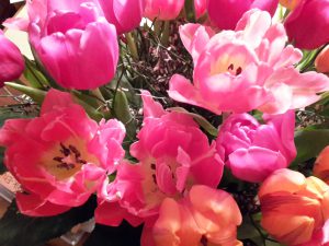 Pinke Tulpen - Holt mich von der Couch