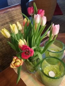 Bunte Tulpen - Holt mich von der Couch