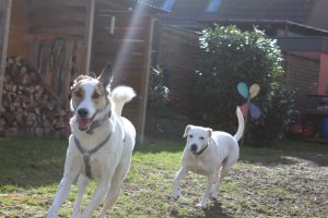 Spielende Zona und Feli, Frühlingsgefühle