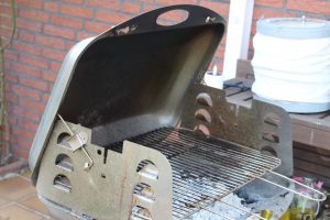 Angrillen,Sommertag im April