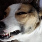 Schlafende Feli lächelt, Schenke dir ein Lächeln