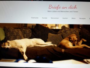 briefe-an-dich.de - Facebookfreunde