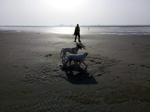 Birgit, Feli und Zina in der unendliche Weite im Süden Texels