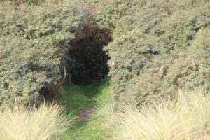 Verschlungene Wege, unendliche Weite im Süden Texels