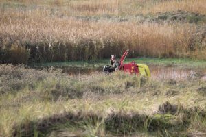 Aufsitzmäher, unendliche Weite im Süden Texels