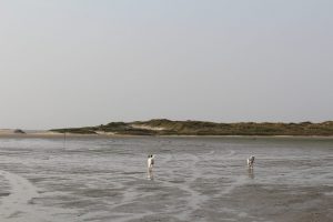 Zina und Feli rennen in Watt, unendliche Weite im Süden Texels