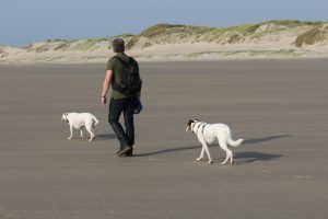 Lieblingsmann an den Dünen, unendliche Weite im Süden Texels