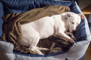 Zina hat Platz, Black Week