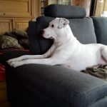 Zina mit gelagerten Kissen - Die sensible Zina