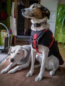 Feli im Mantel und Zina im Pulli für die eisige Kälte