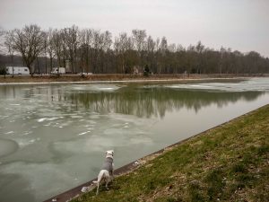 Zinas Blick auf den Kanal - eisige Kälte