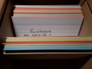 Karteikarte Eustress - Meine grauen Gehirnzellen sind wieder bunt