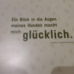 Für Hundefreunde, Groh - Nachts in der Buchhandlung