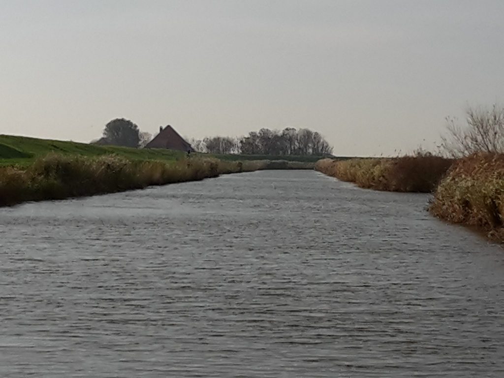 Ausblick von der Handfähre auf Texel